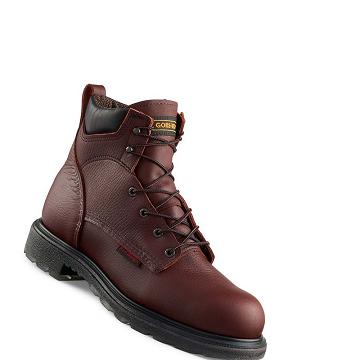 Botas De Trabajo Red Wing SuperSole® 2.0 6-inch Impermeables Soft Puntera Hombre Vino | MX56OKI