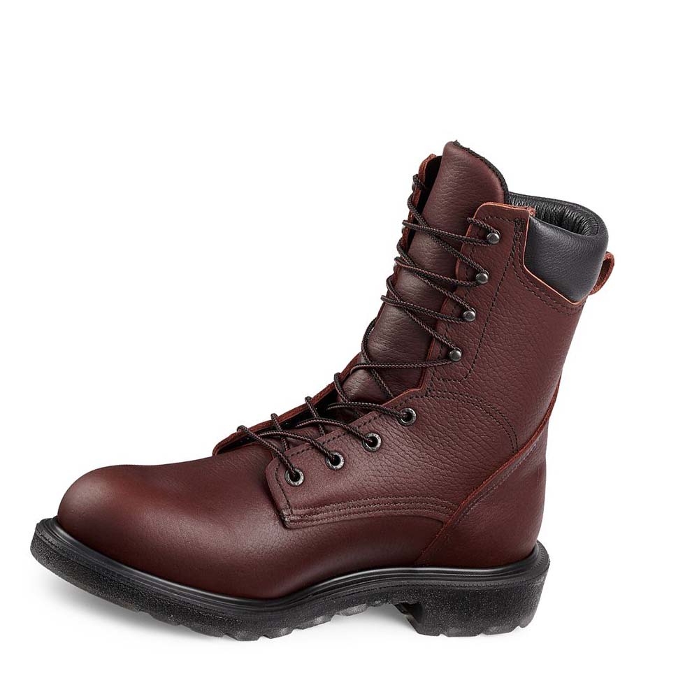 Botas De Trabajo Red Wing SuperSole® 2.0 8-inch Soft Puntera Hombre Vino | MX53SGL