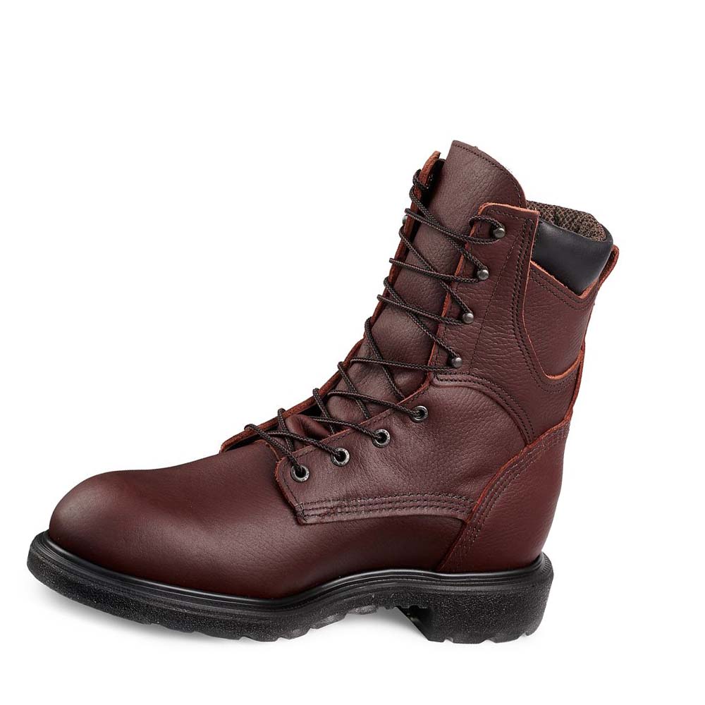 Botas Impermeables Red Wing SuperSole® 2.0 8-inch Insulated, Soft Puntera Hombre Vino | MX151KOR