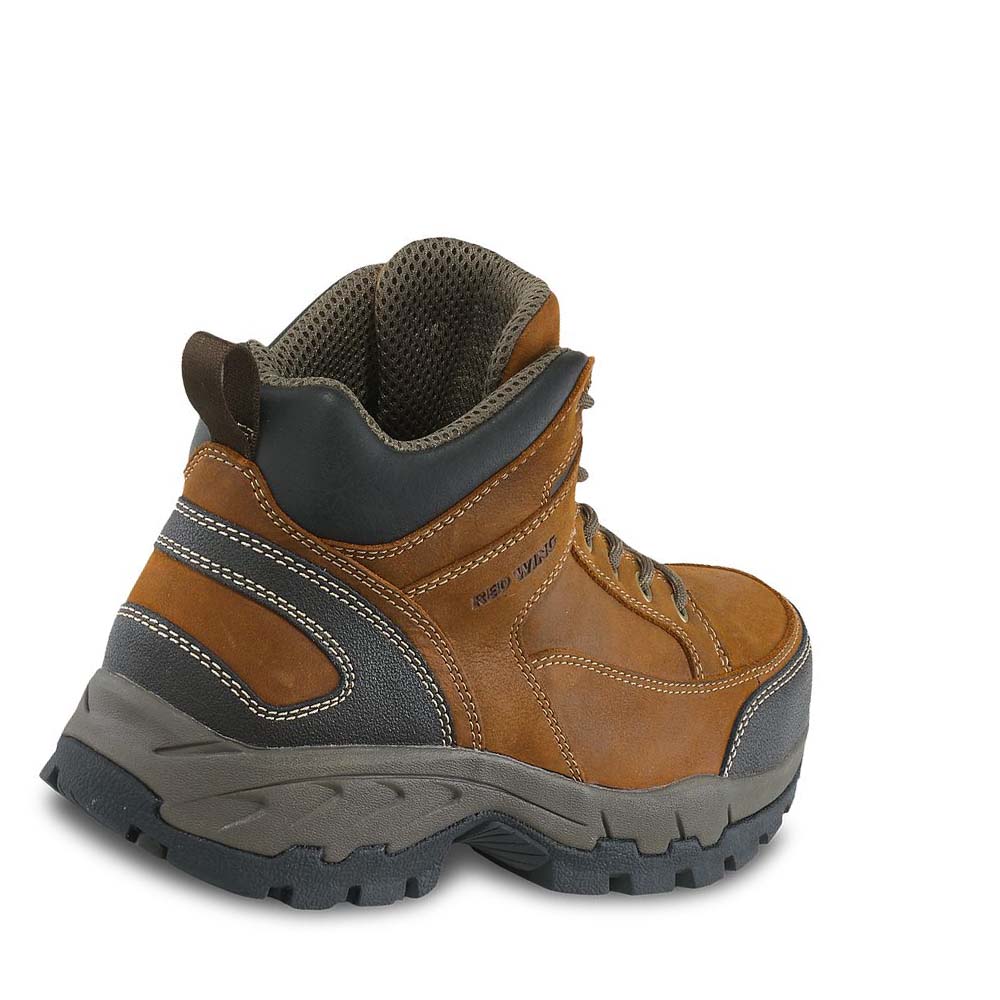 Botas Montaña Red Wing 5-inch CSA Seguridad Puntera Hombre Marrom | MX281KOR