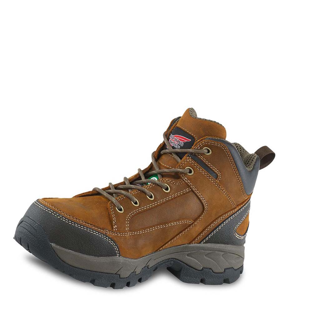 Botas Montaña Red Wing 5-inch CSA Seguridad Puntera Hombre Marrom | MX281KOR