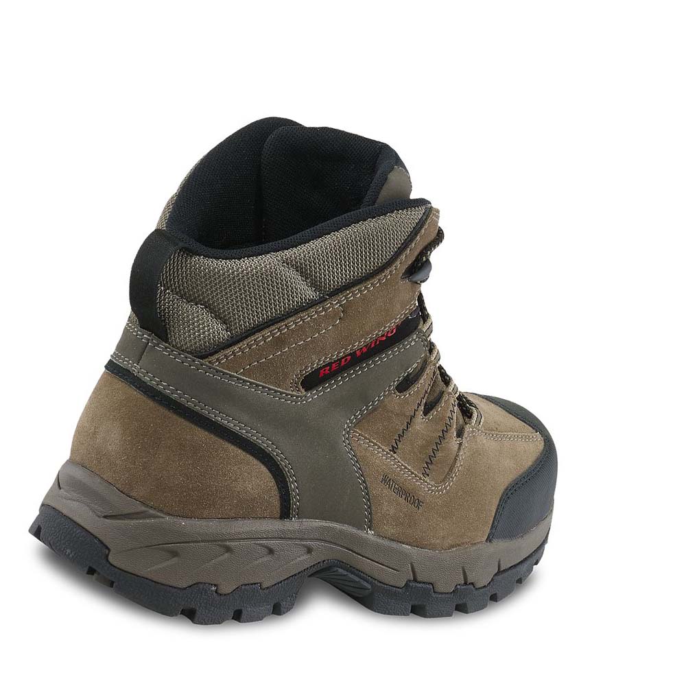 Botas Montaña Red Wing TruHiker 6-inch CSA Seguridad Puntera Hombre Marrom | MX286DFM