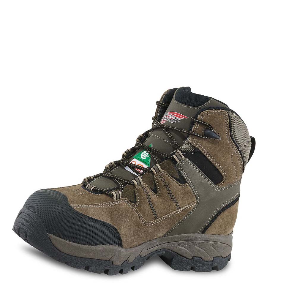 Botas Montaña Red Wing TruHiker 6-inch CSA Seguridad Puntera Hombre Marrom | MX286DFM