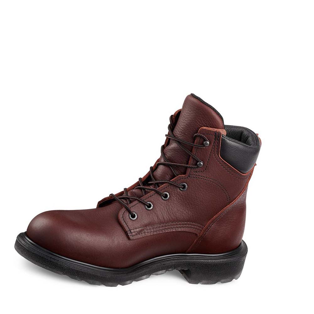 Botas Seguridad Red Wing SuperSole® 2.0 6-inch Hombre Vino | MX261SGL