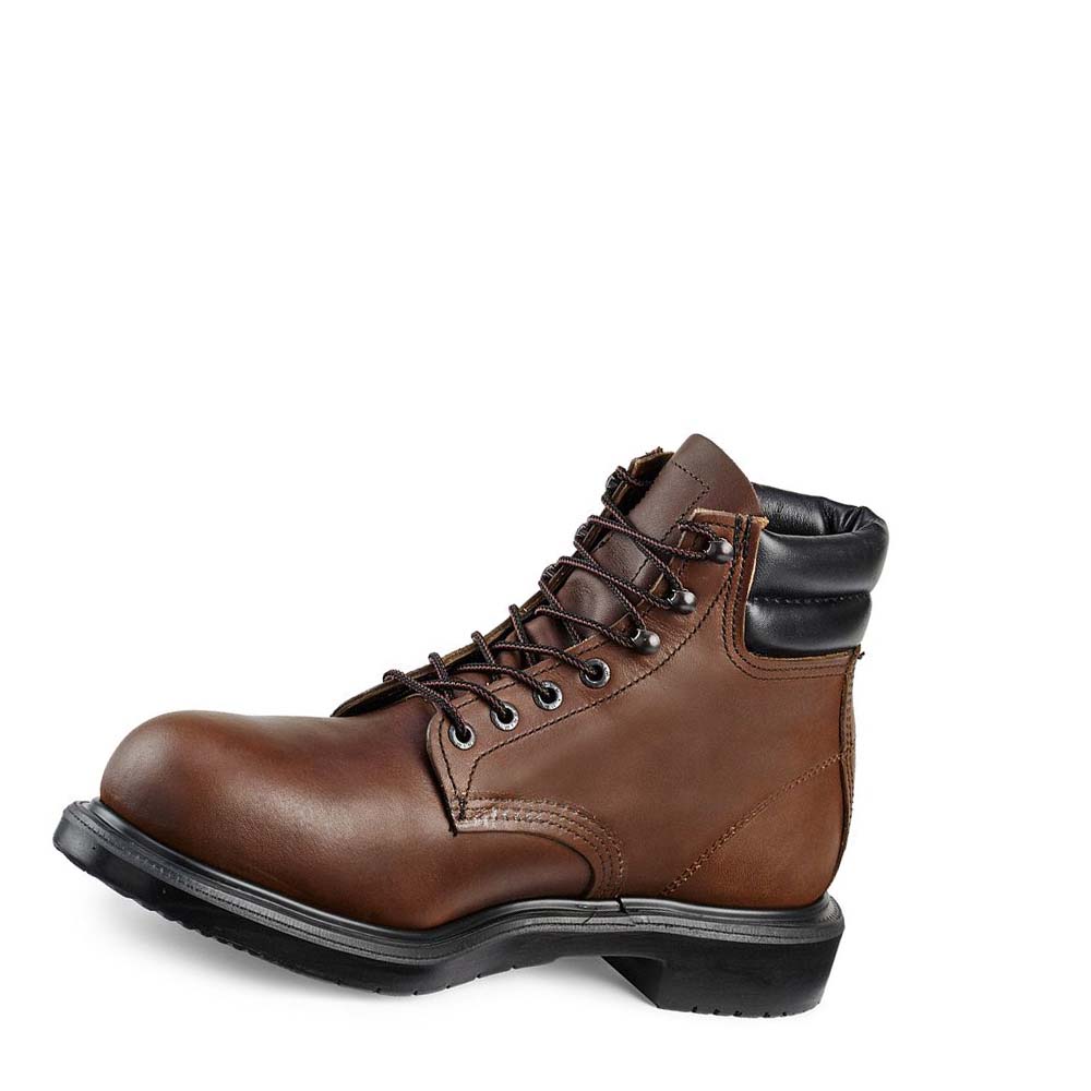 Botas Seguridad Red Wing SuperSole® 6-inch Hombre Cafes | MX243RVD