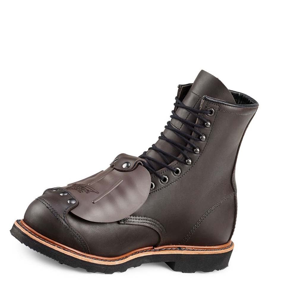 Botas Seguridad Red Wing TruWelt 8-inch Seguridad Puntera Metguard Hombre Cafes | MX211PJJ